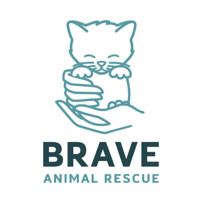 Brave Animal Rescue