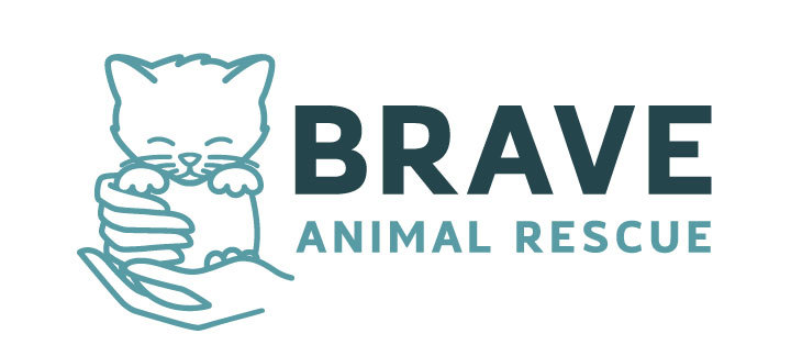 Brave Animal Rescue