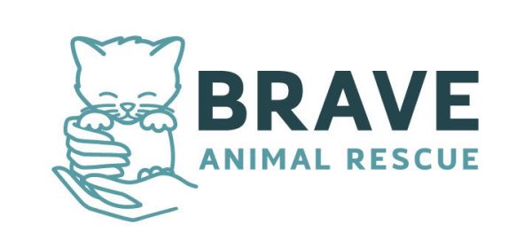 Brave Animal Rescue