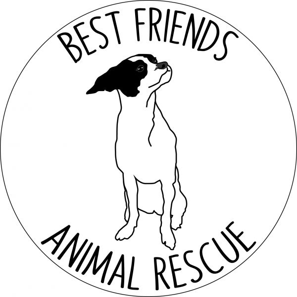 Best Friends Animal Rescue