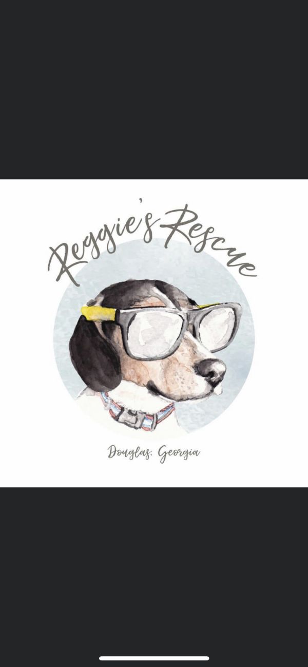 Reggie's Rescue