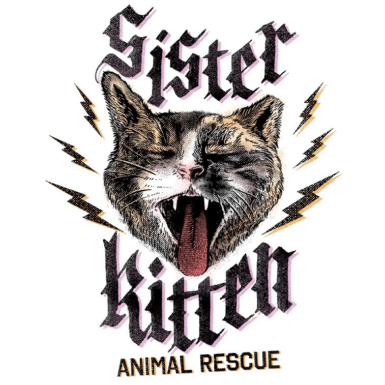 Sister Kitten Animal Rescue