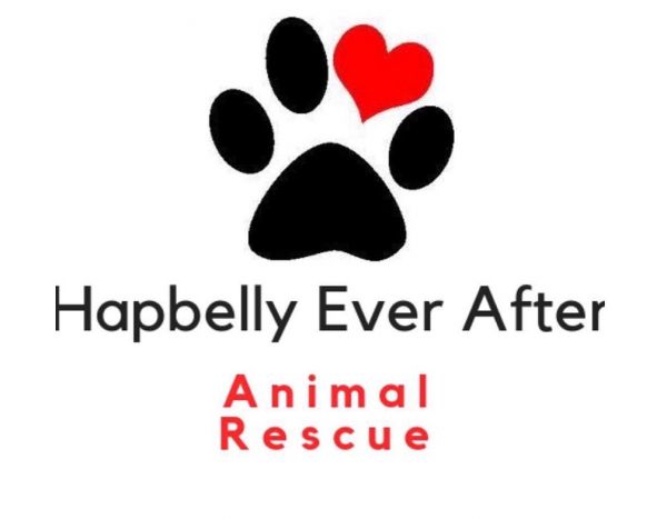 Hapbelly Ever After Animal Rescue