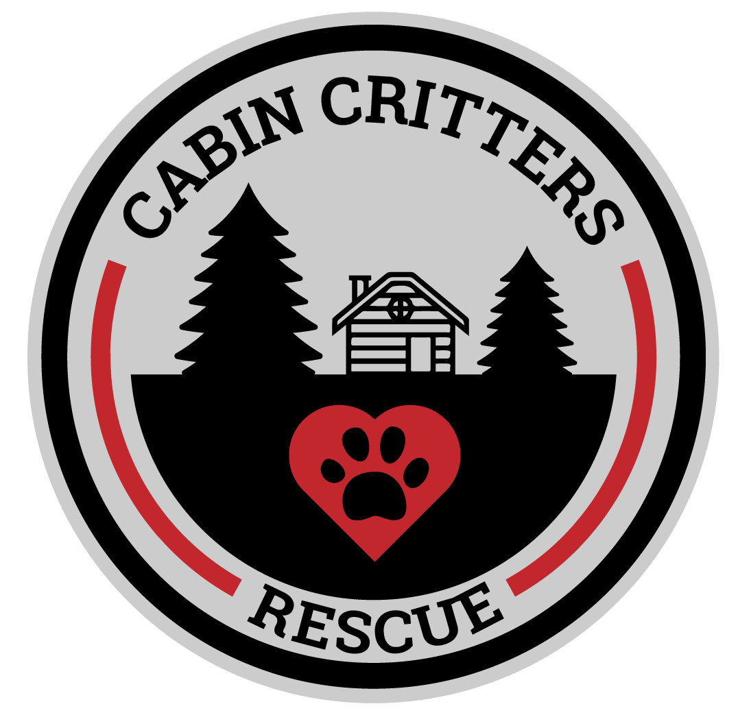 Cabin Critters Rescue