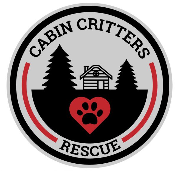 Cabin Critters Rescue