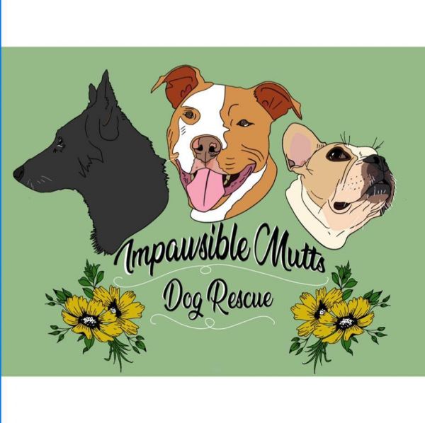 Impawsible Mutts Rescue