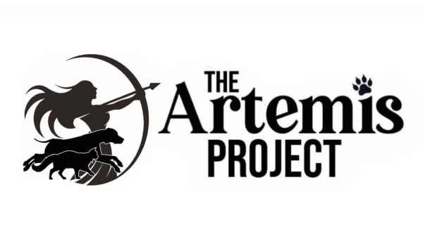 The Artemis Project Inc