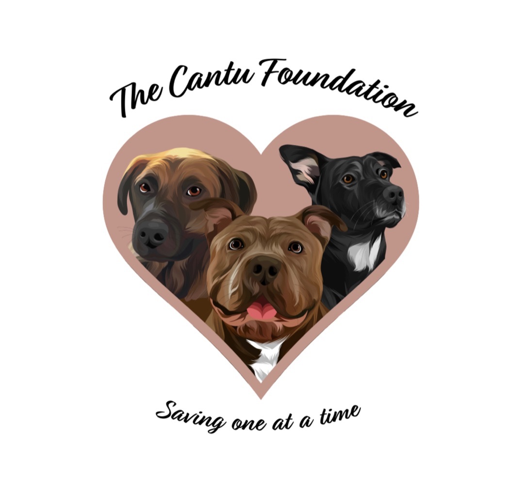 The Cantu Foundation