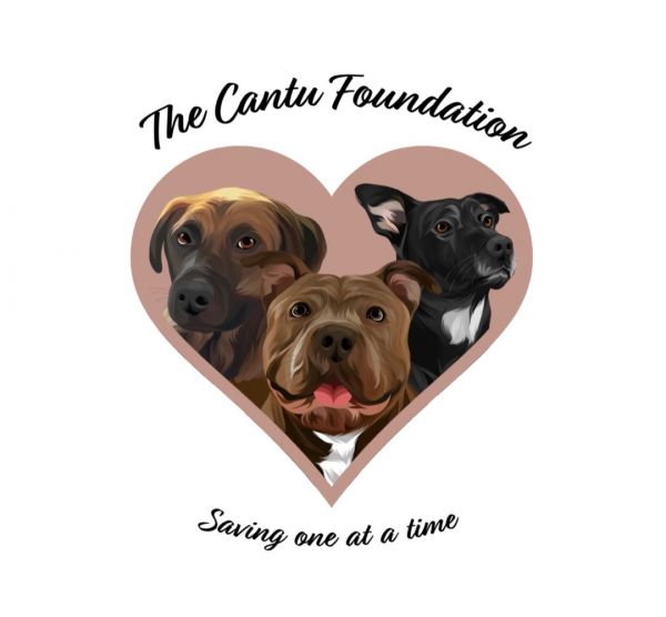 The Cantu Foundation