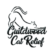 Guildwood Cat Relief