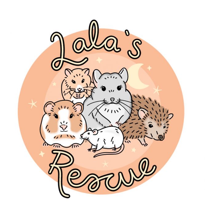Lala's Playhouse and Rescue
