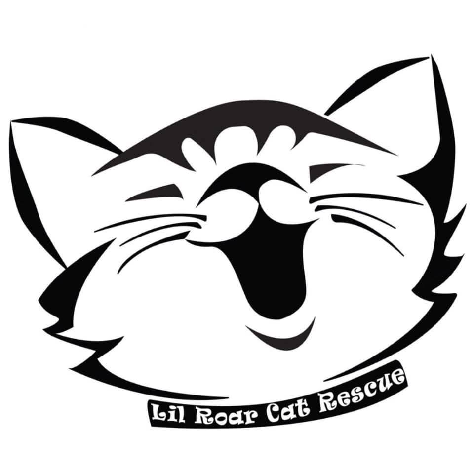 Roar hot sale cat store