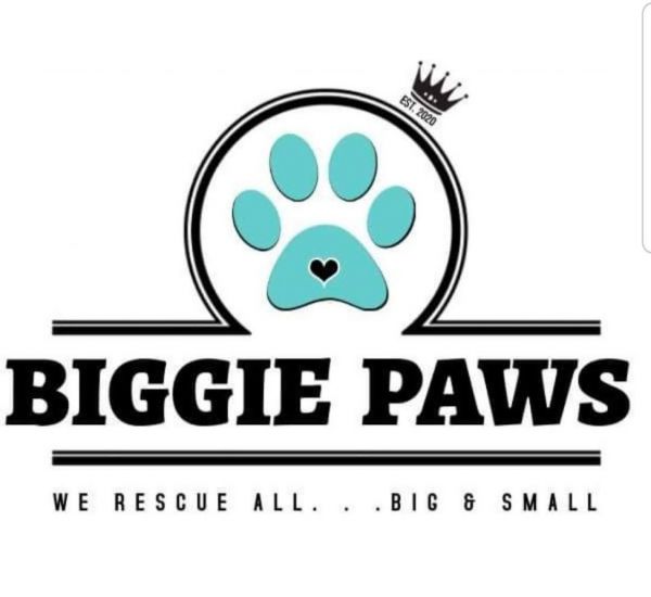 Biggie Paws Rescue
