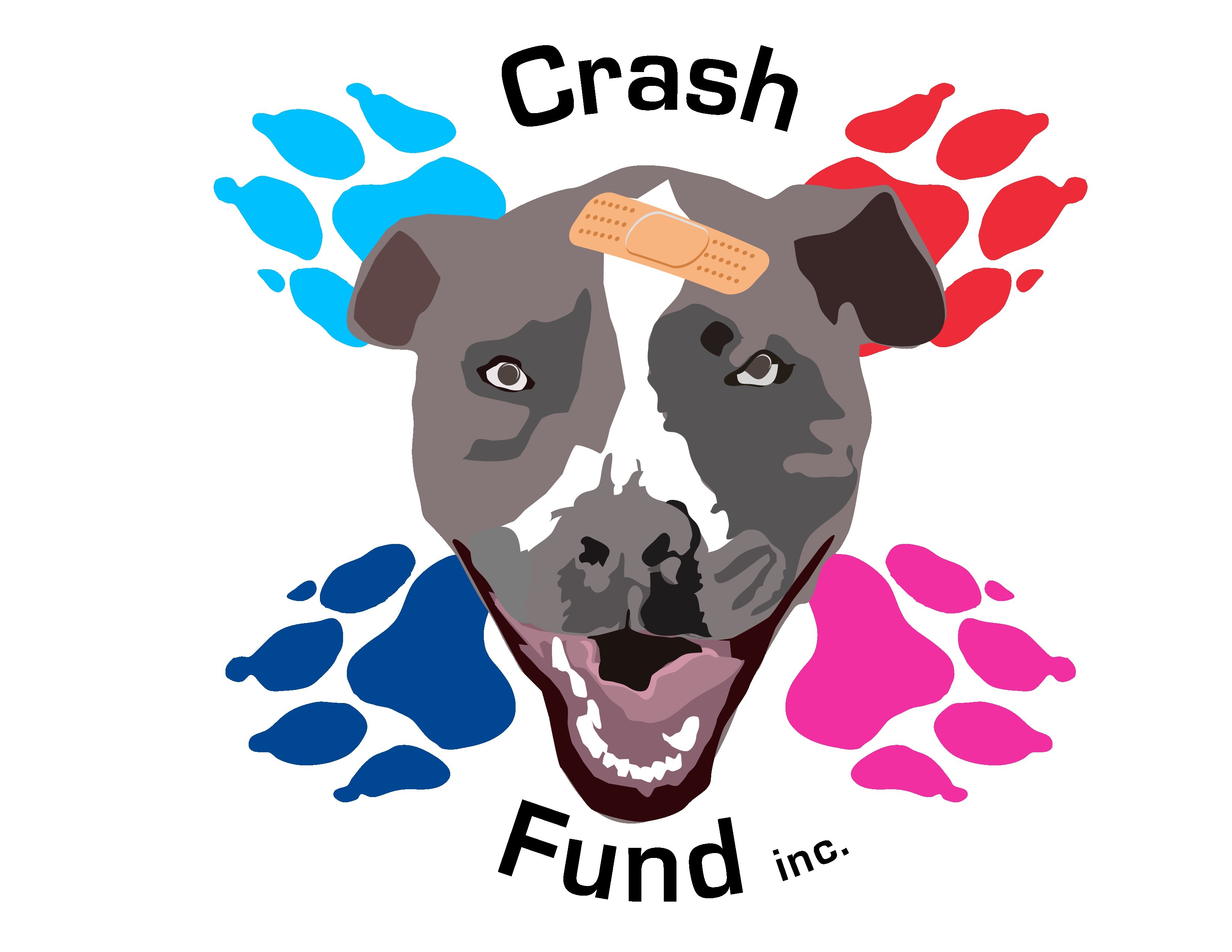 Crash Fund Inc