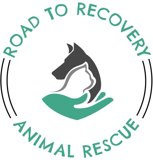 Road To Recovery Animal Rescue