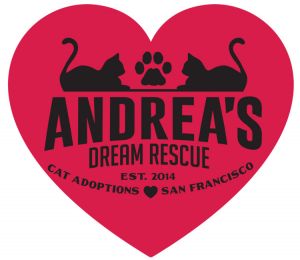 Andrea's Dream Rescue