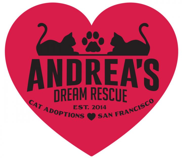 Andrea's Dream Rescue