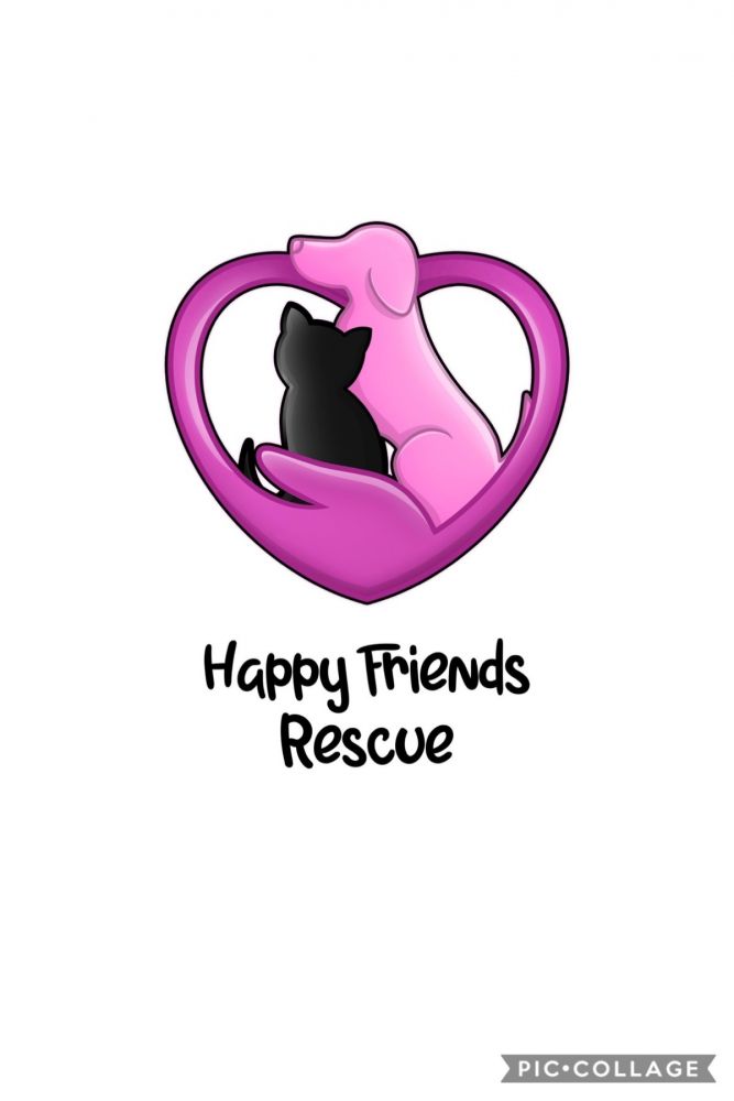 Happy Friends Rescue