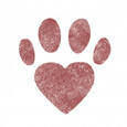 Helping Paws of Southern Minnesota