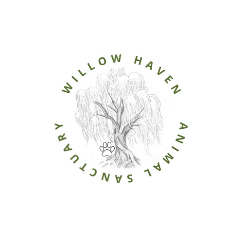 Willow Haven Animal Sanctuary