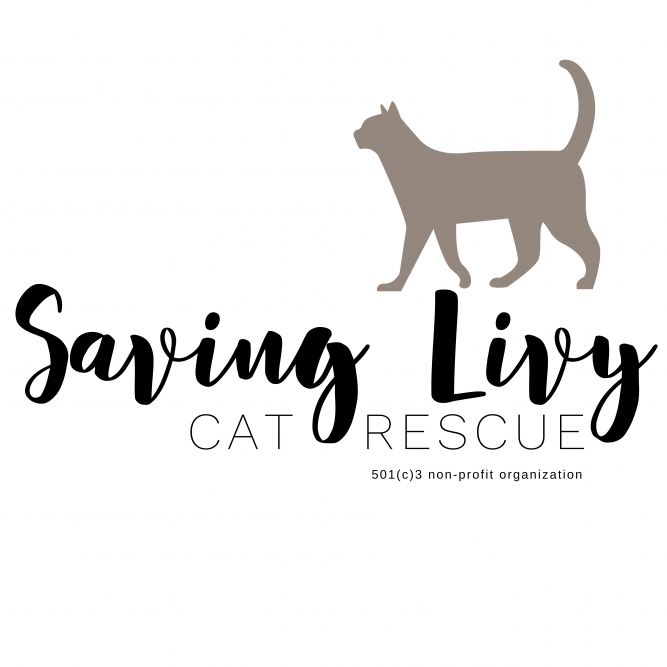 Saving Livy Cat Rescue