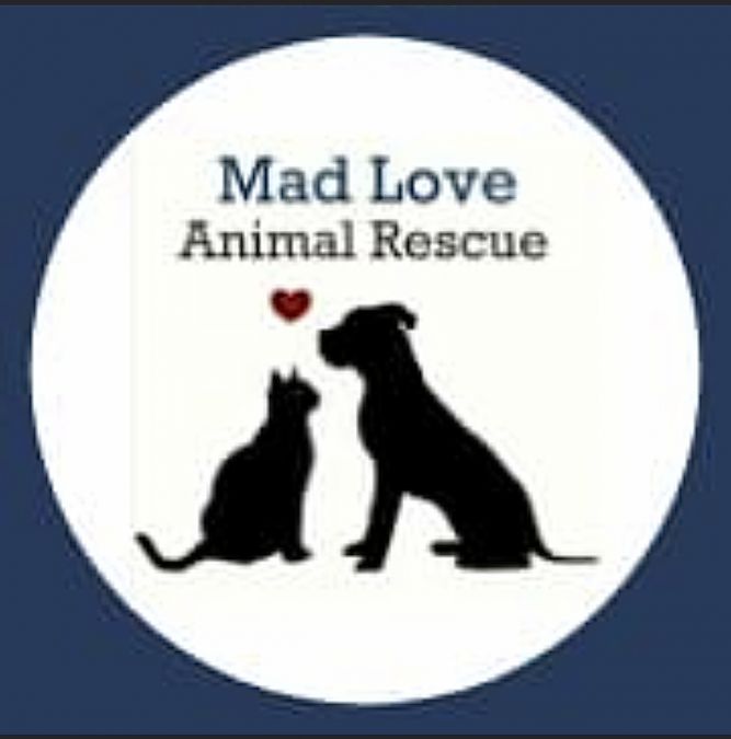 Mad Love Animal Rescue
