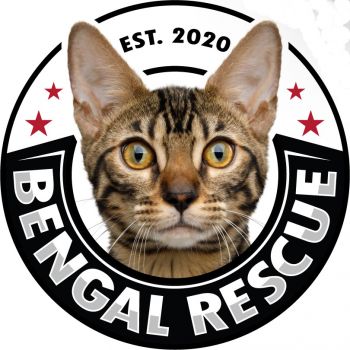 Bengal Rescue
