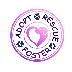 Adopt Rescue Foster