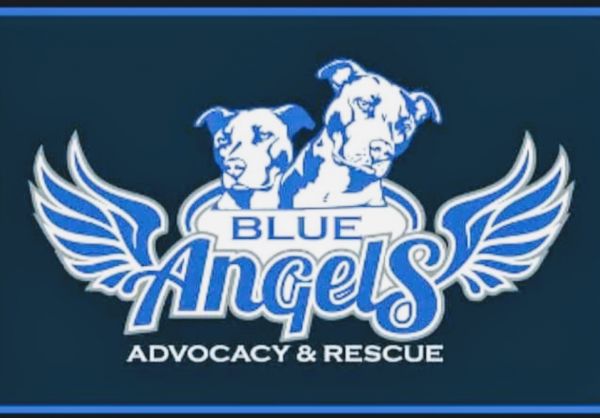 Blue Angels Advocacy and Rescue Resource