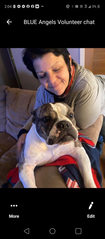 Luda - Recently Adopted!