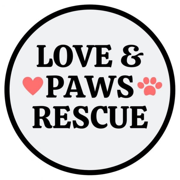 Love & Paws Rescue