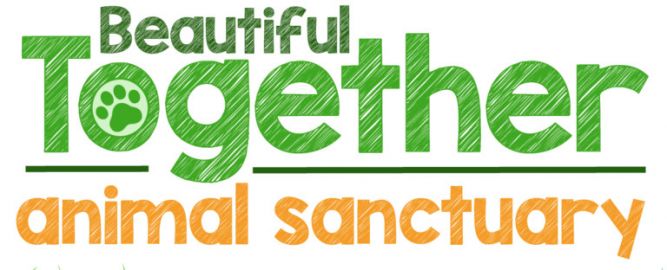 Beautiful Together Animal Sanctuary