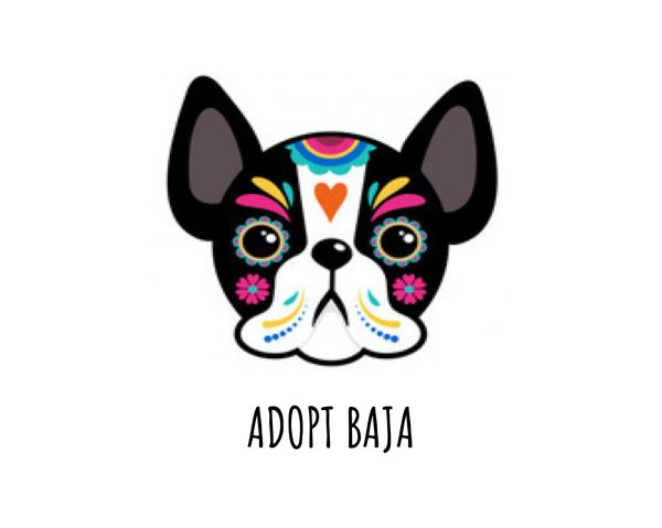 Adopt Baja