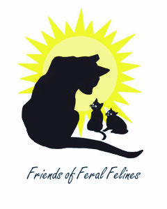 Friends of Feral Felines