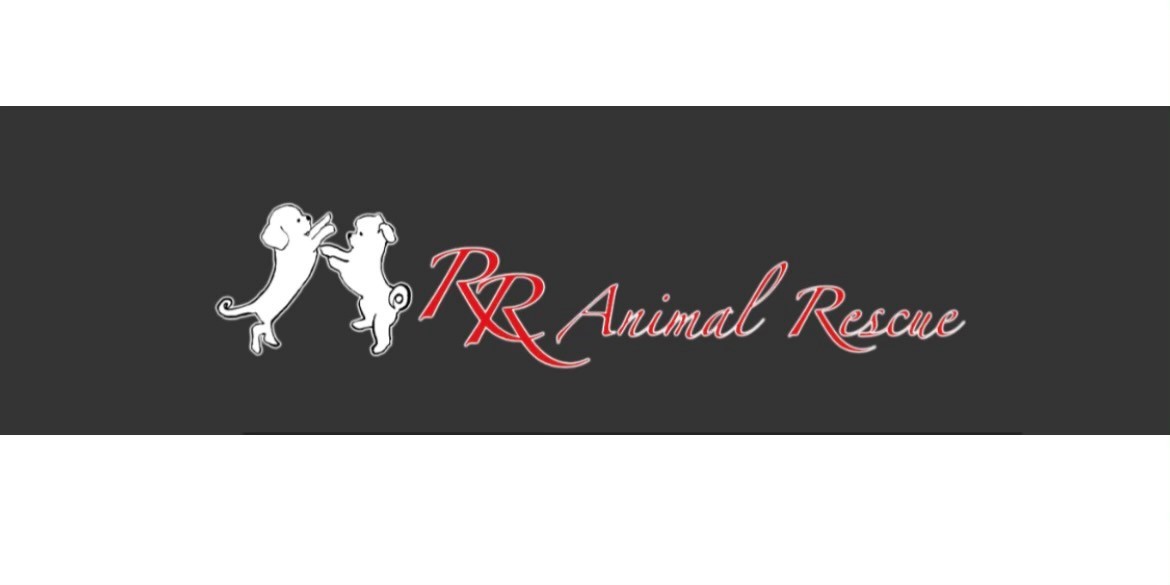 R&R Animal Rescue