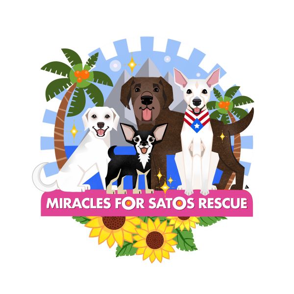 Miracles for Satos Rescue
