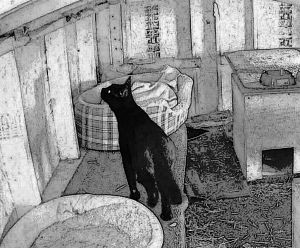 Blue Ridge Cat Rescue Alliance, Inc.
