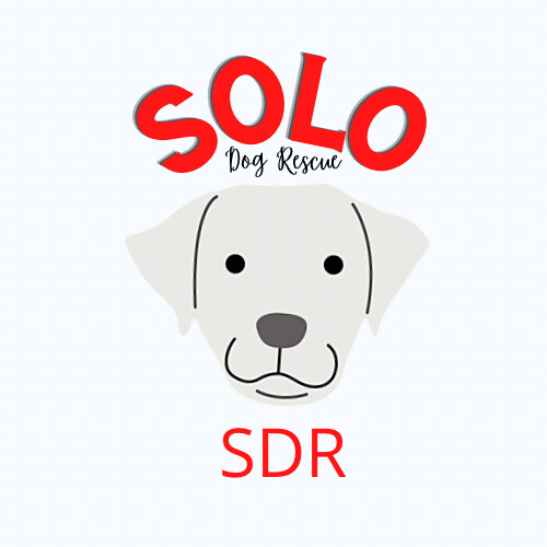 SDR Rescue