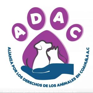 Alianza por los derechos de los animales  de Coahuila AC