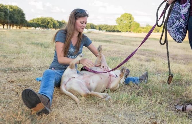 Pets For Adoption At Fort Worth Abandoned Animal Alliance In Benbrook Tx Petfinder