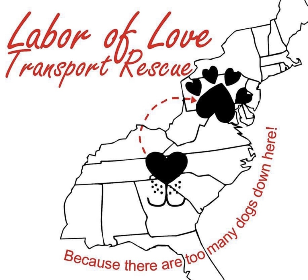 Labor Of Love Transport Rescue