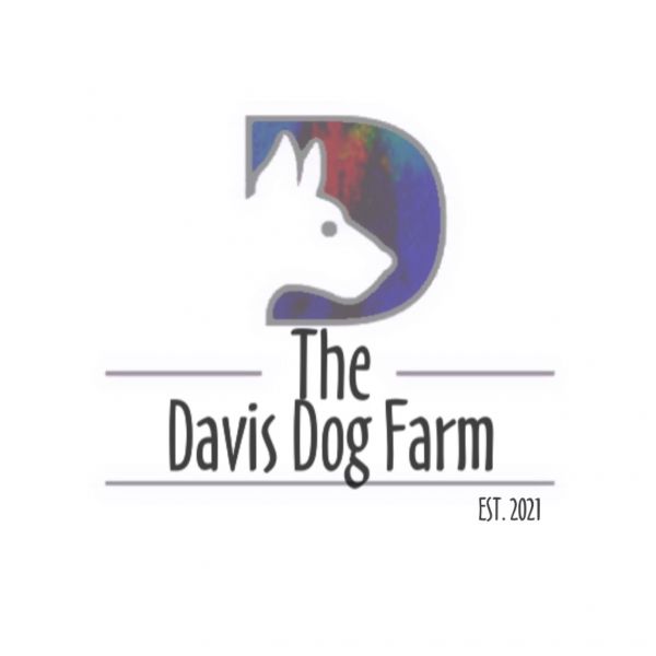 The Davis Dog Farm Inc.
