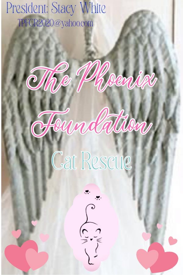 The Phoenix Foundation Cat Rescue