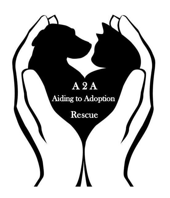 Aiding2Adoption Rescue