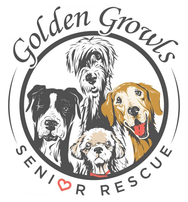 Golden Growls Senior Rescue