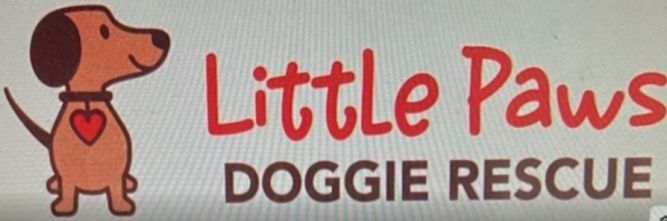 Little Paws Doggie Rescue