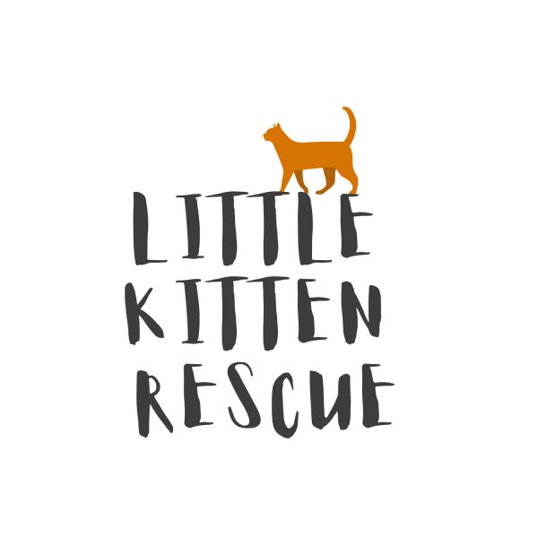 Little Kitten Rescue