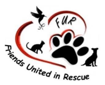 (FUR) Friends United in Rescue