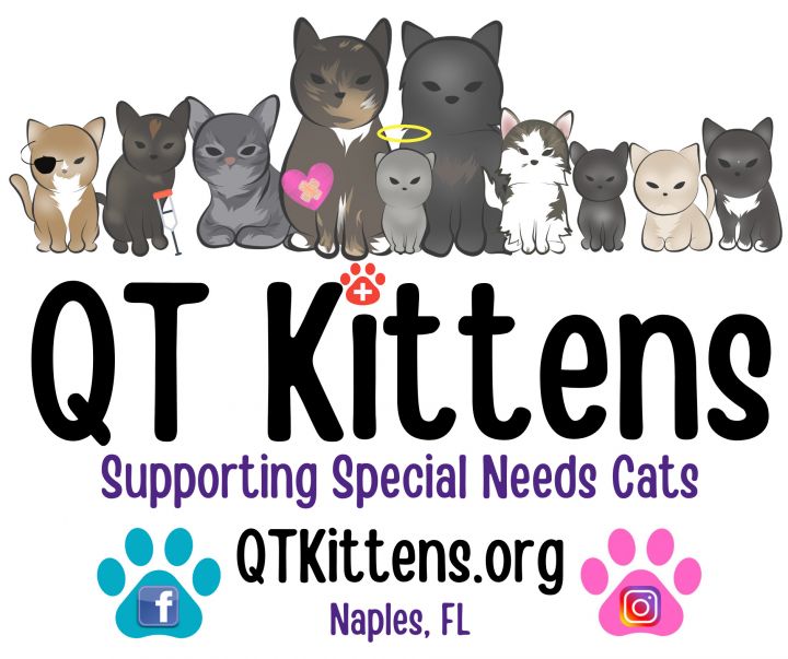 QT Kittens Logo
