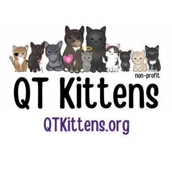 QTKittens.org